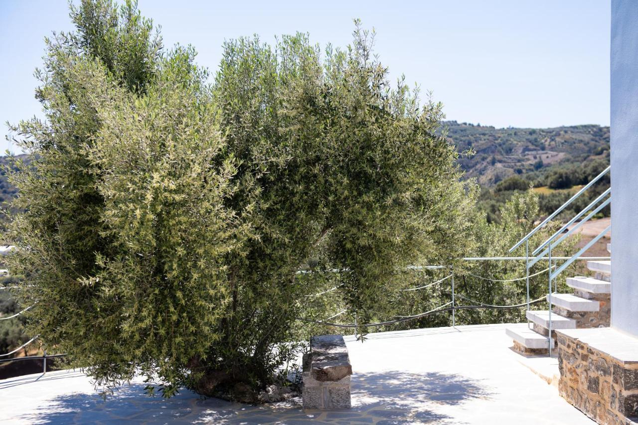 Holiday home Sarakinas Residences Myrtos (Crete)